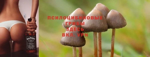 соль курить ск Богородицк