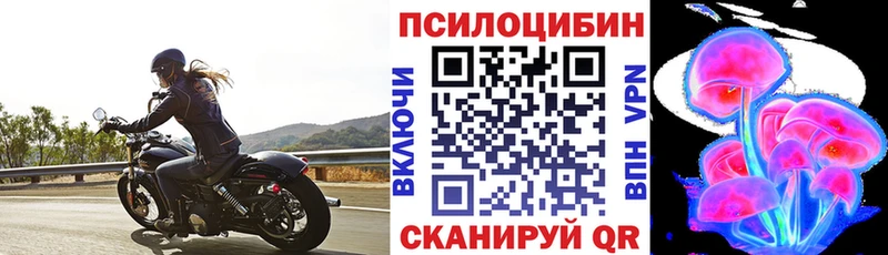 Галлюциногенные грибы мицелий купить закладку Пенза